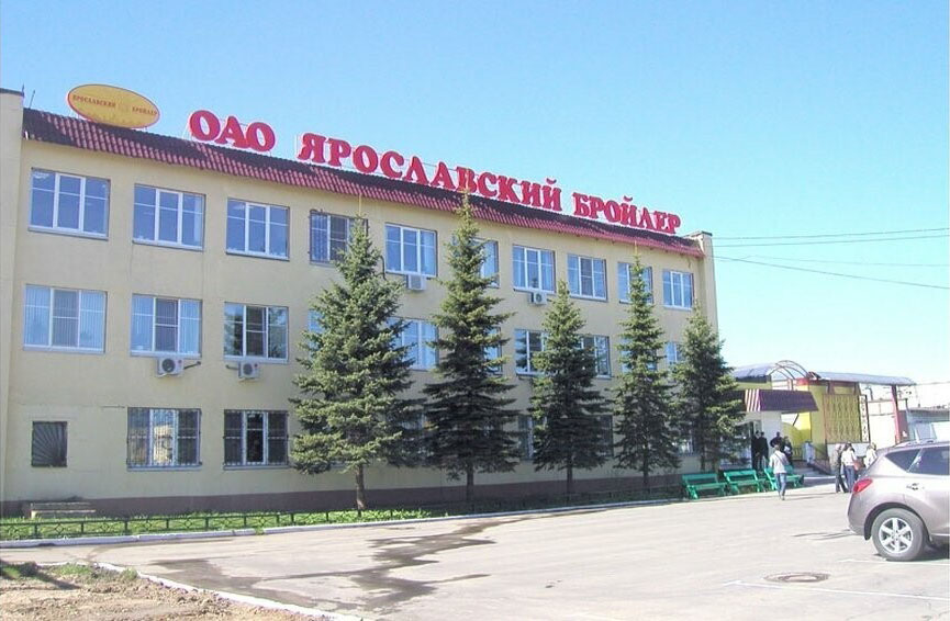 Yaroslavl broiler